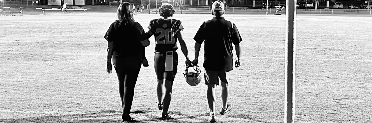 Christian Badics banner