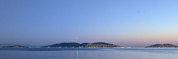 wiqi Profile Banner