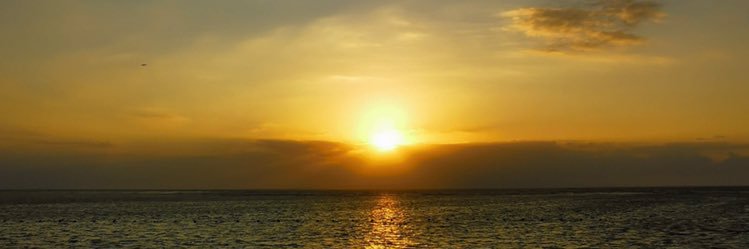 HAMASHO1217's profile banner image