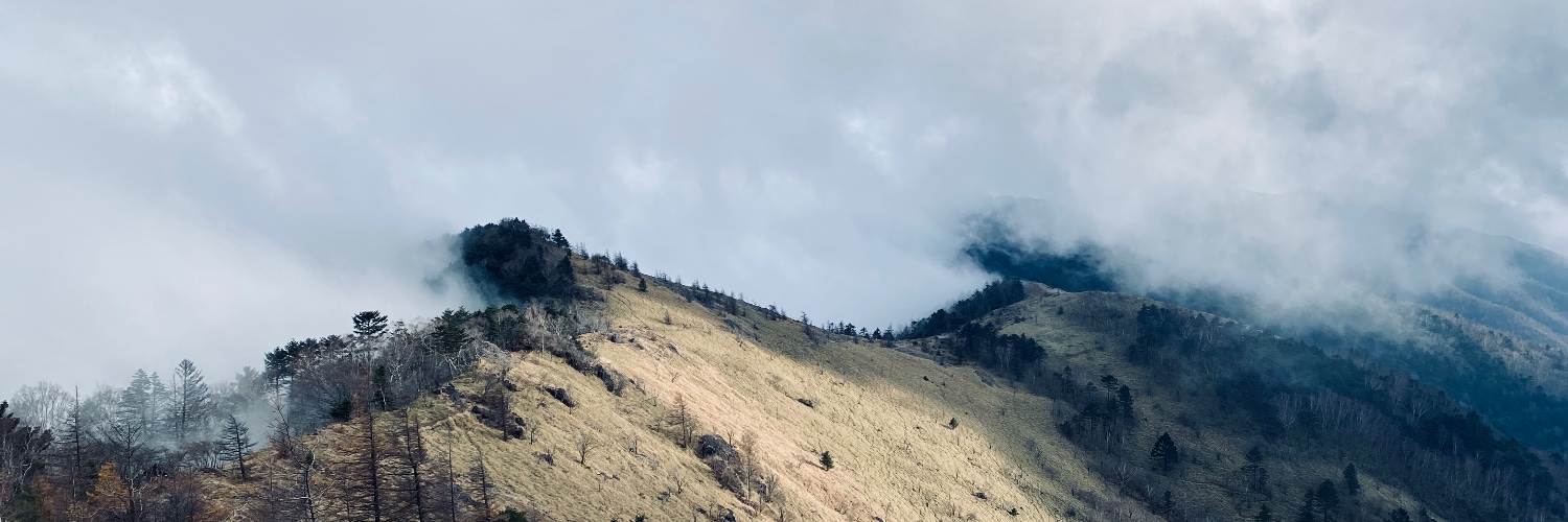 junpluse's profile banner image