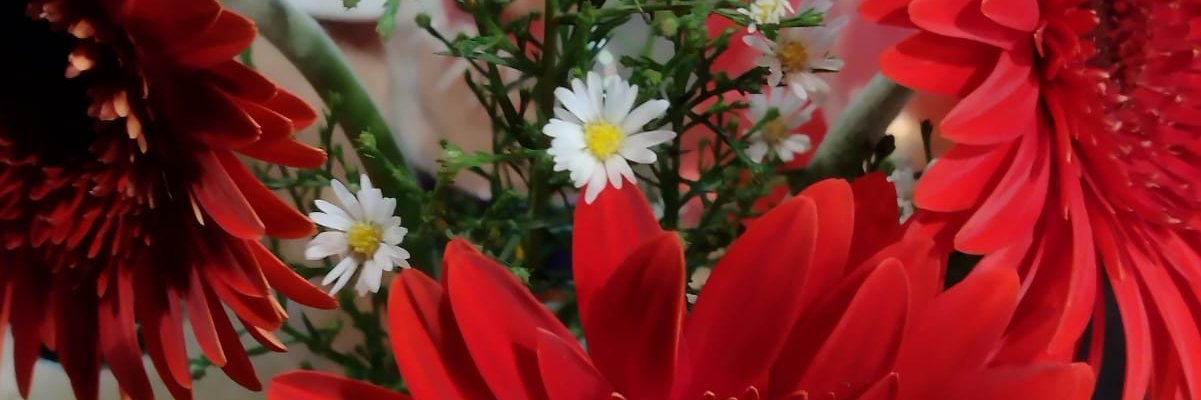 gery9002's profile banner image