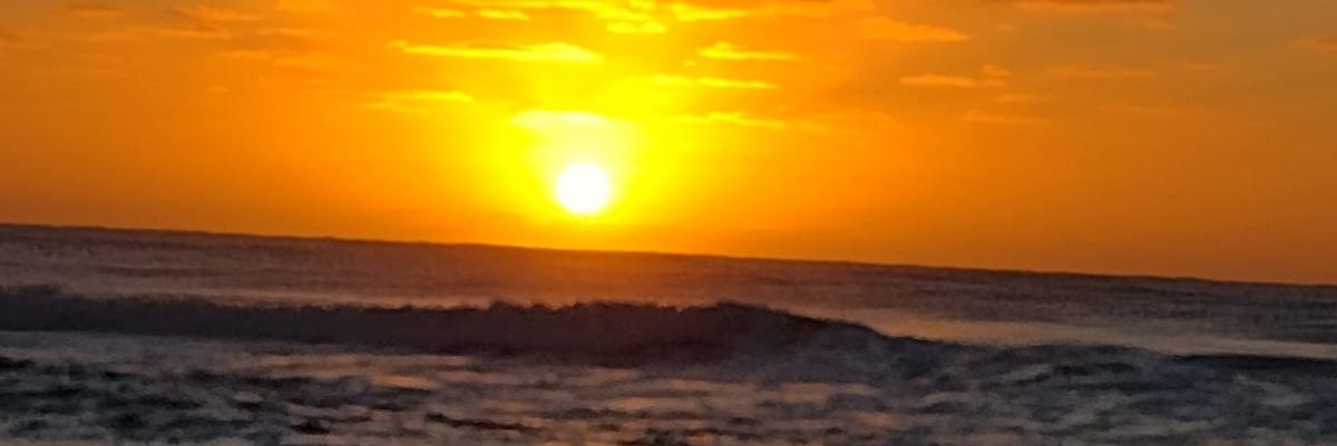 lpmontagna's profile banner image