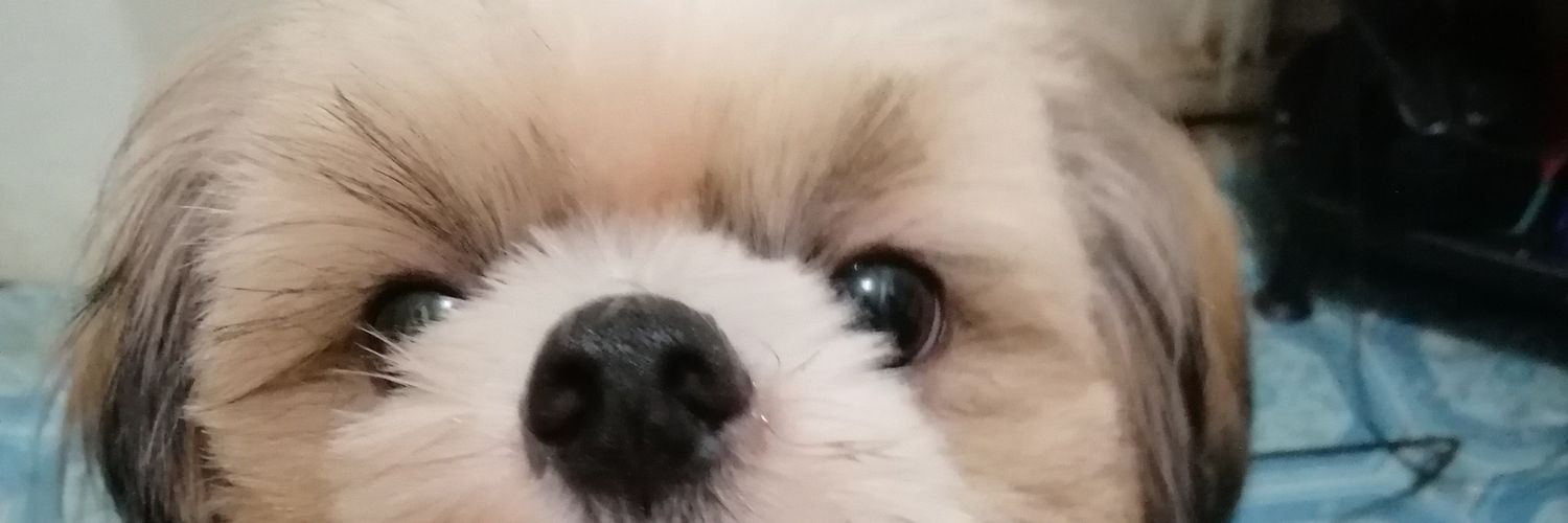 Marsey1223's profile banner image
