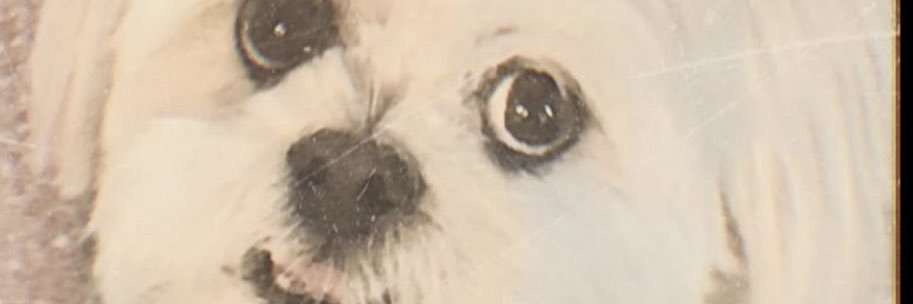 JaronHemp's profile banner image