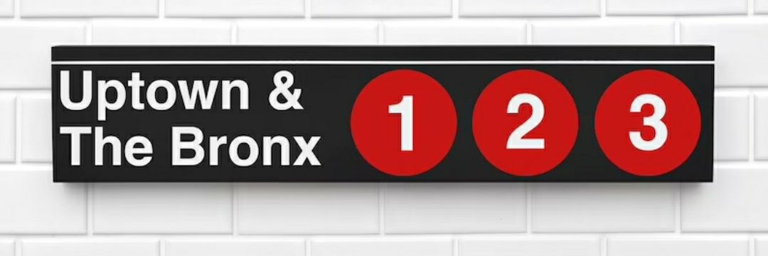 Shanifah Rieara banner