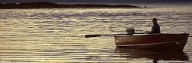 kmkm9494's profile banner image