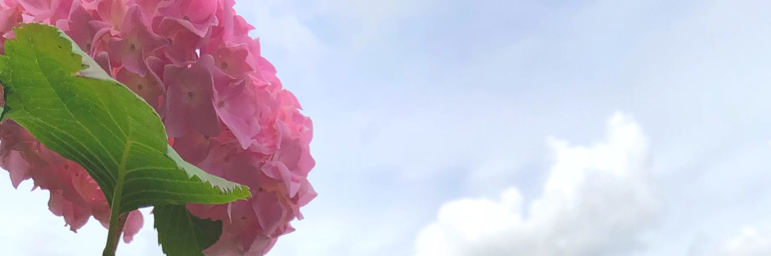 غيمـة عِشـق💗 banner