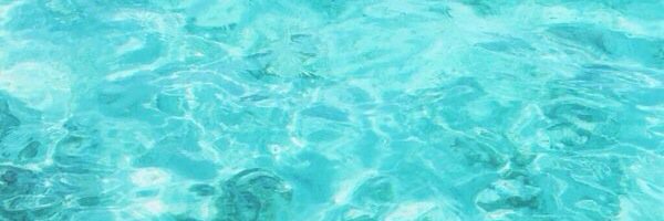 CalderonKrista's profile banner image