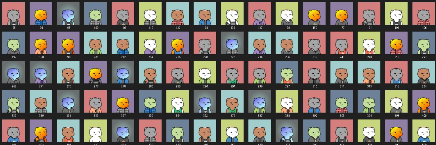 boredcatnft's profile banner image