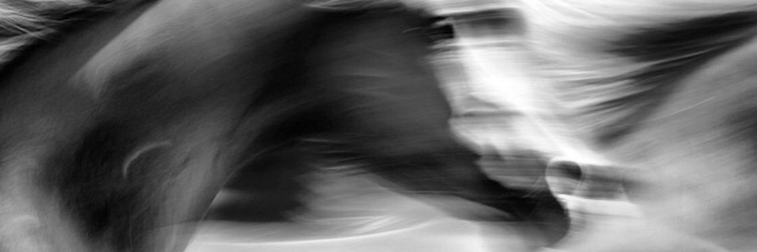 amnaAB_'s profile banner image