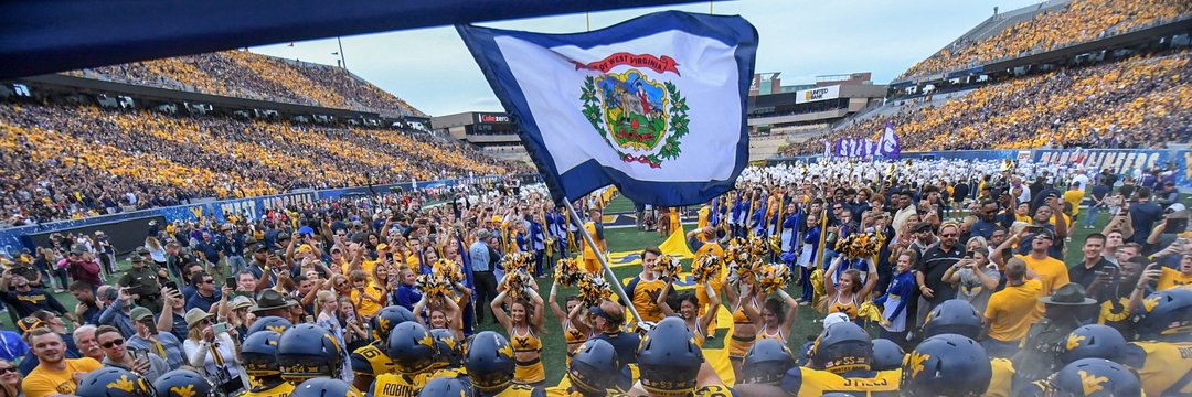 Gold And Blue Zone banner