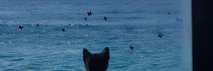 gallxyy's profile banner image