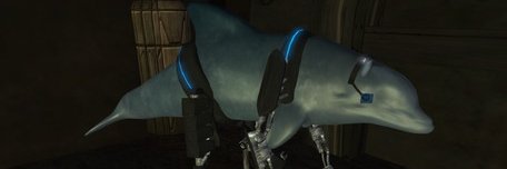 Phoebe (she/her/elle) banner