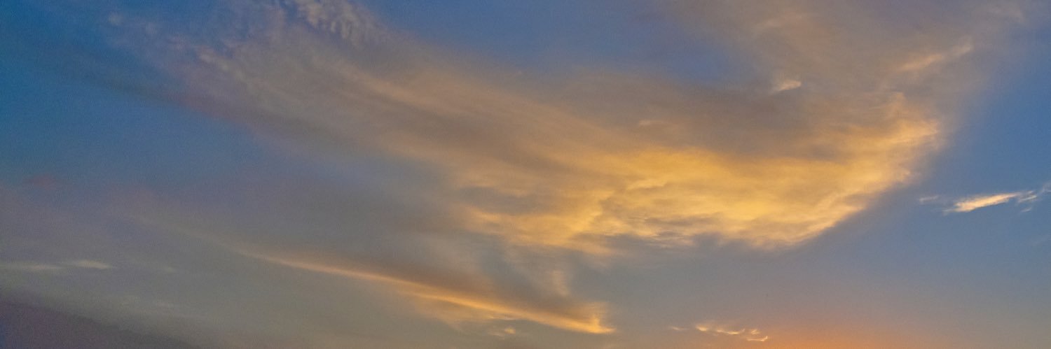 Larry Bennun banner