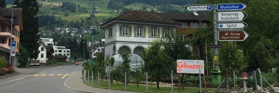 Tom Johansmeyer banner