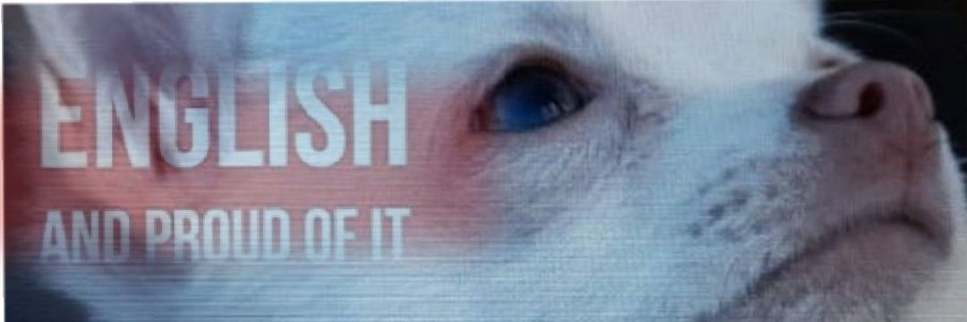 𝓛𝓲𝓼𝓪 🦁👑🧚‍♂️ banner