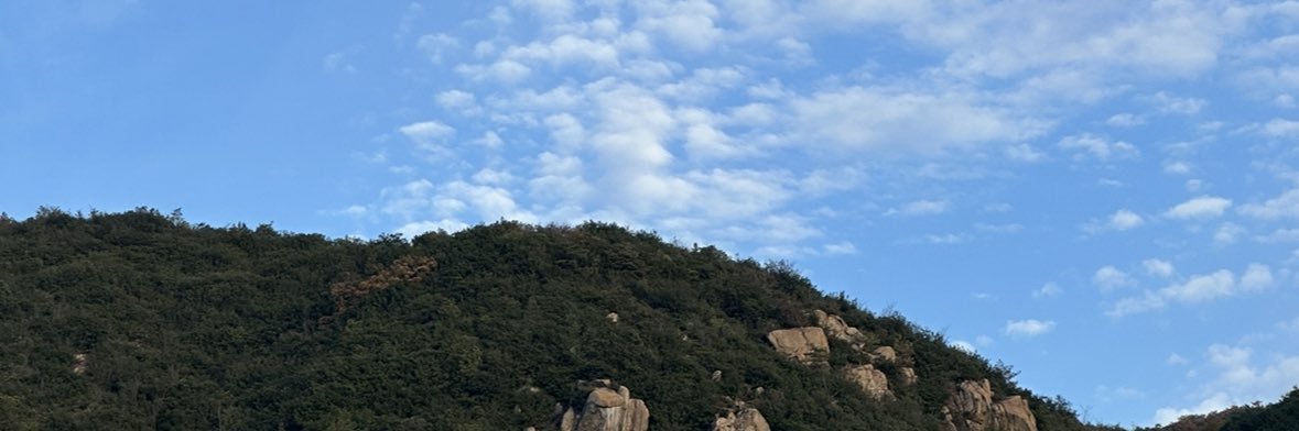 ANDY banner