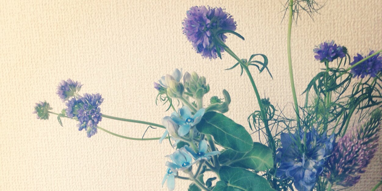 shucarina's profile banner image