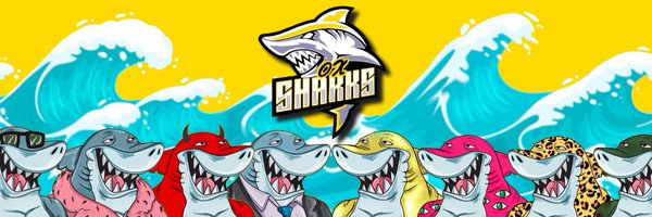 0xsharksss Profile Banner