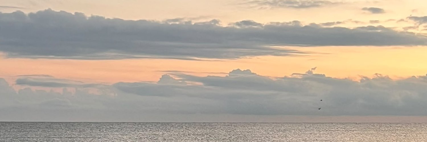 MuratMutlu151's profile banner image