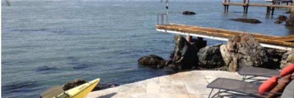 alimitchell Profile Banner