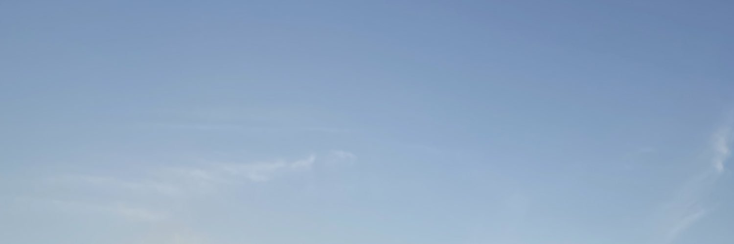lijli0's profile banner image