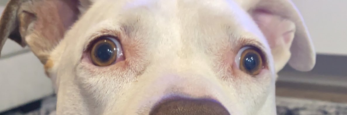 Collt's profile banner image