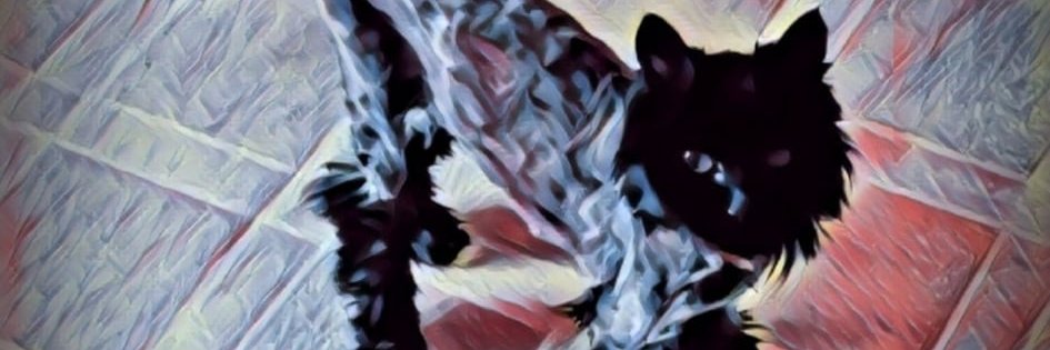 EDMCWRescue's profile banner image