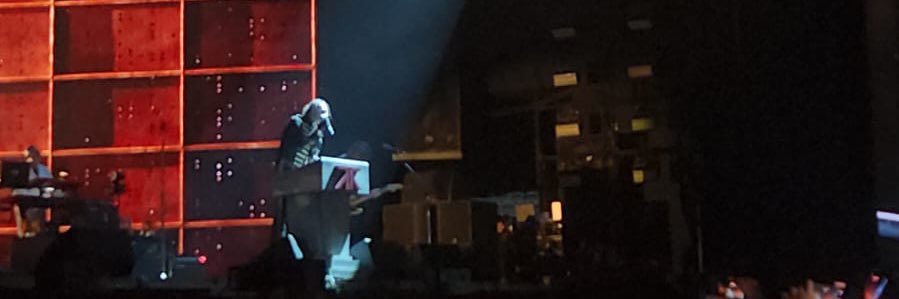 strawberry babe banner