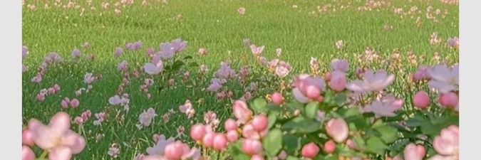 Fhania5809's profile banner image