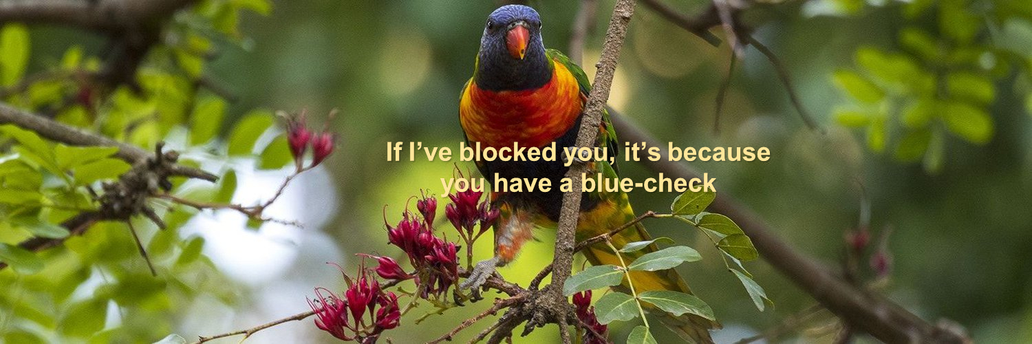 dialecticbio.bsky.social banner