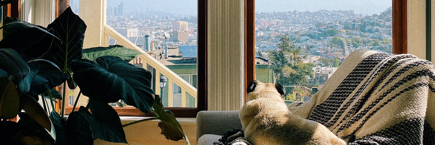 ShaneHarley's profile banner image