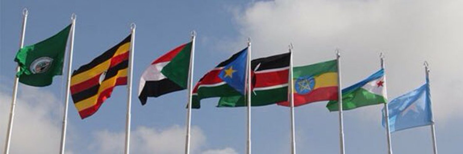 Dr Fatuma Adan's banner