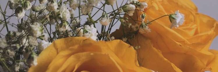 ws_4_ever's profile banner image