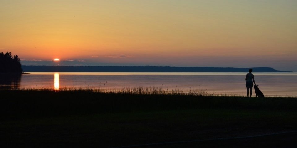 Kath_Carter's profile banner image