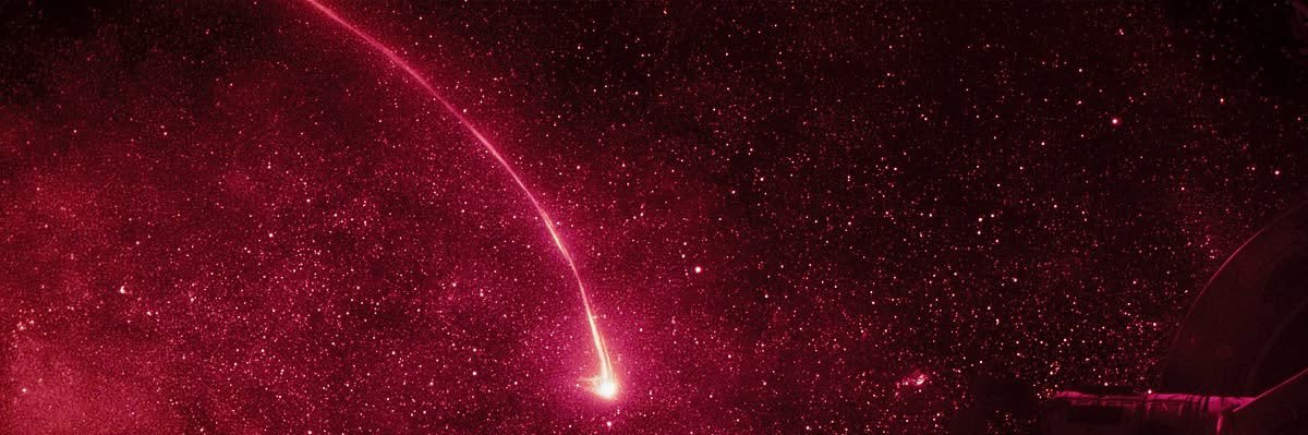 NaCly (salty) 🕷️🕸️ banner