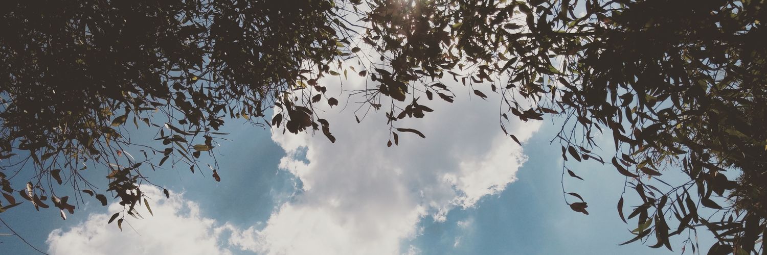 _mervesen_'s profile banner image