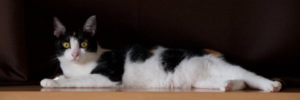 _tsmd Profile Banner