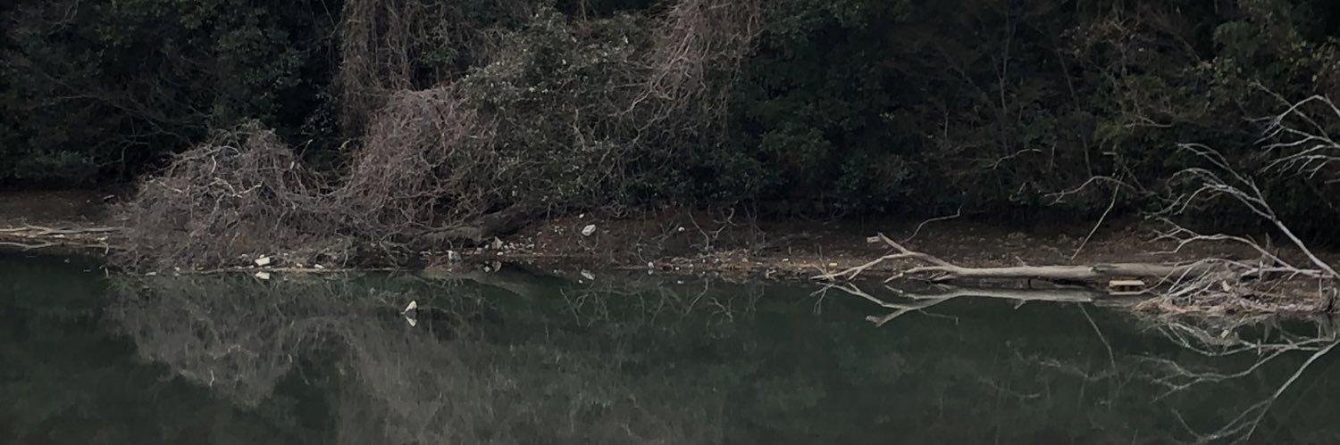 MusicUhh's profile banner image