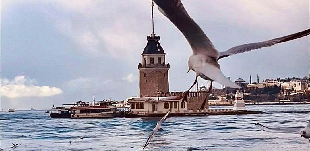 yy banner
