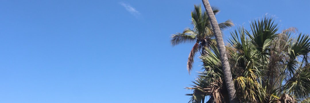 elidevr's profile banner image