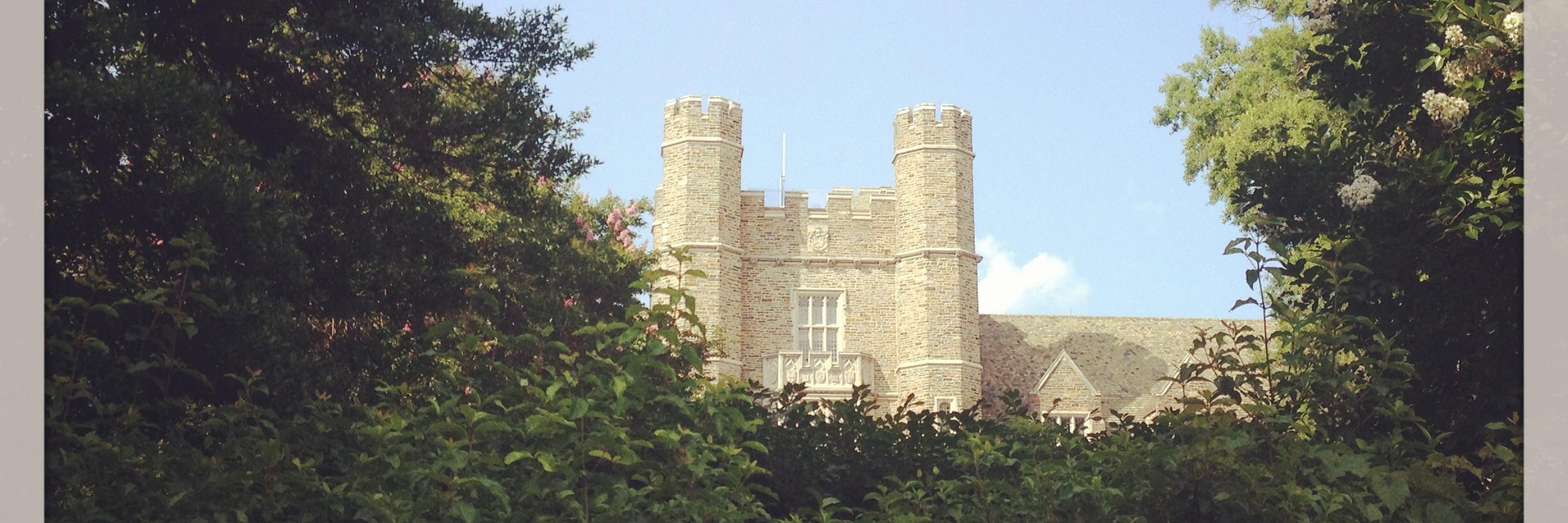 Cristina Sánchez-Blanco banner