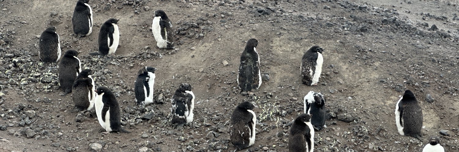 𝕸𝖊𝖗𝖈𝖍𝖆𝖓𝖙 𝕻𝖗𝖎𝖓𝖈𝖊 banner