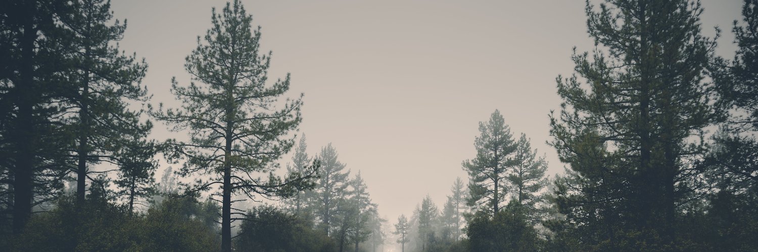 Sentinel004's profile banner image