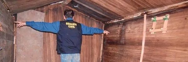 mandarinocallate banner