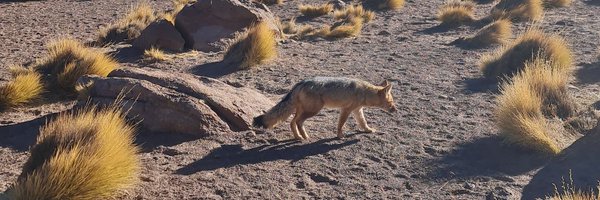 DeibyOd Profile Banner