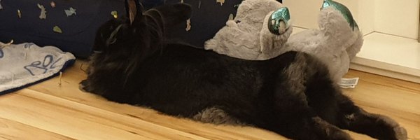 JettBunny Profile Banner