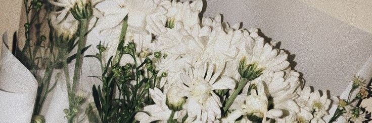 bibbib98's profile banner image