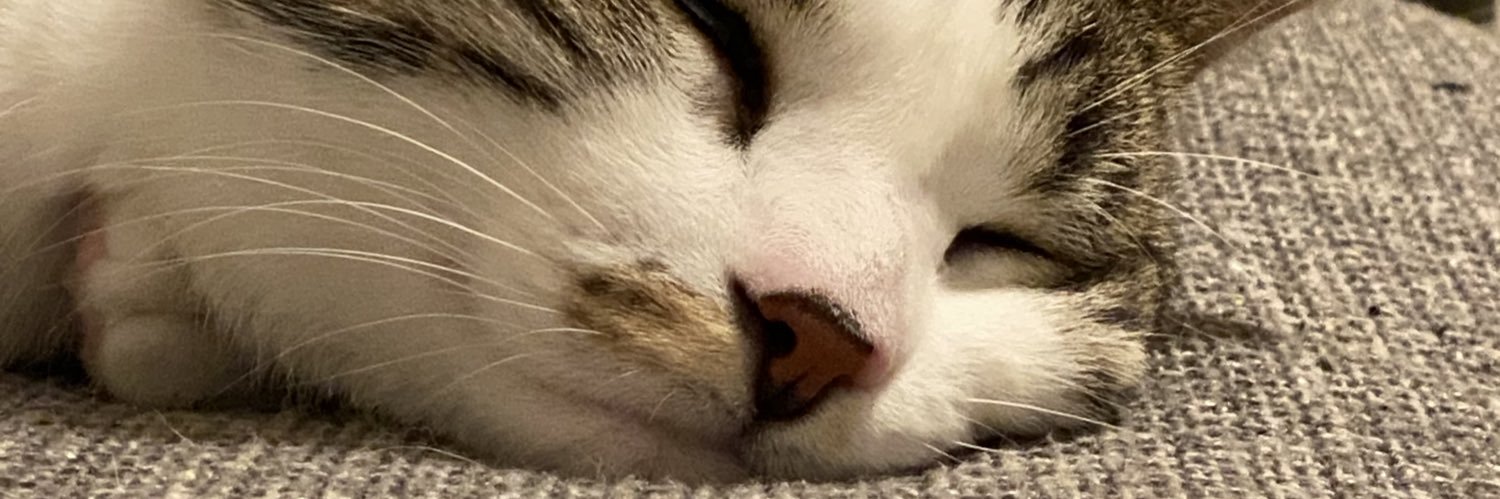 h213__'s profile banner image
