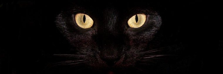 Sidrit_19's profile banner image